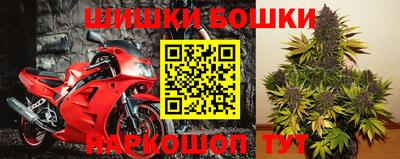 индика Наро-Фоминск
